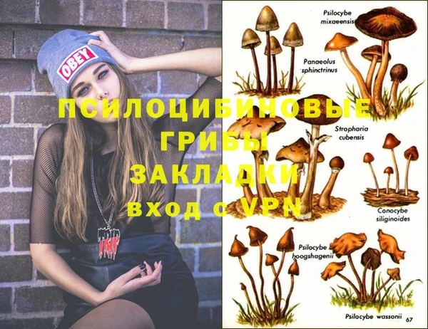 хмурый Богданович