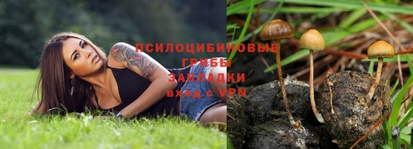 меф Богородицк