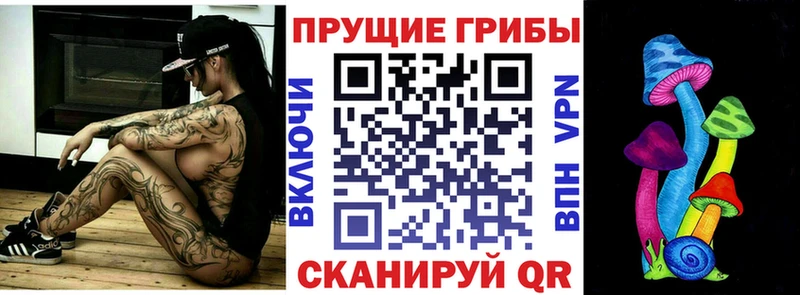 Псилоцибиновые грибы Cubensis  Кирс 